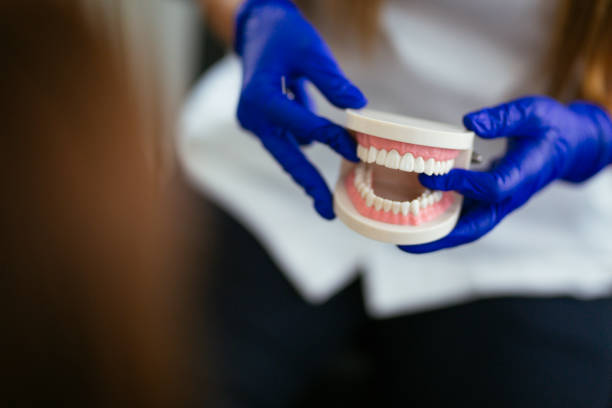 Spring Green, WI Dental Services Pros